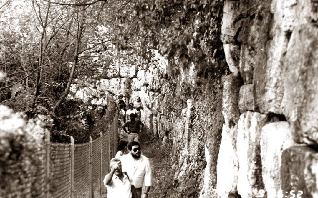 1976 – Populonia, Museo e scavi, Tombe di Baratti.
